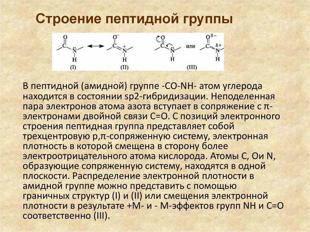 Образование первой пептидной связи. Изобразите структуру пептидной связи.. Строение пептидной группы. Строение пептидной связи. Характеристика пептидной связи.