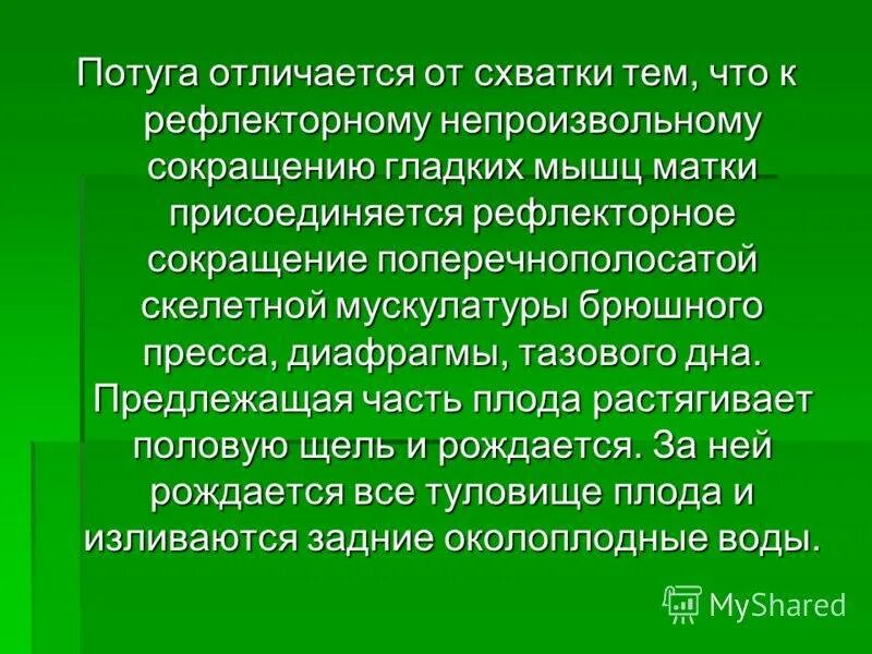 Схватки тест. Отличие схваток от потуг. Разница между схватками и потугами. Чем схватки отличаются от потуги. Характеристика потуг.