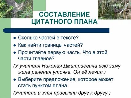 Что значит цитатный план