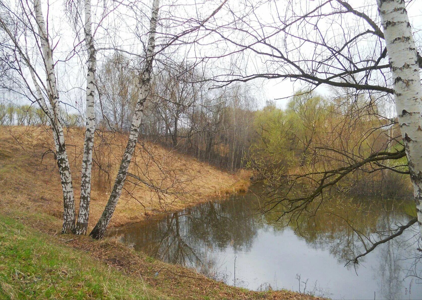 Апрель рязань купить. Природа в апреле в Рязани. Апрельские красоты в России. Рязань в апреле фото.