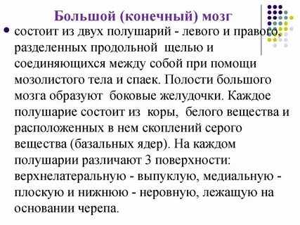 Состоит из двух полушарий