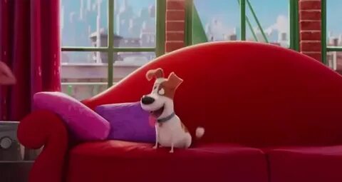 Secret life of pets english