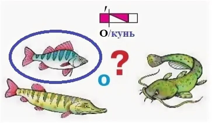 Ударный слог в слове окунь. Окунь звуковая схема. Окунь звуковая схема 1 класс. Схема слова окунь. Окуни схема звуков.