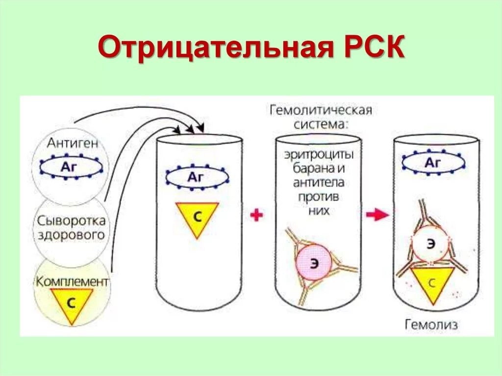 Реакция связывания комплемента схема. Схема отрицательной реакции связывания комплемента. РСК схема реакции. РСК принцип реакции. Рск дист