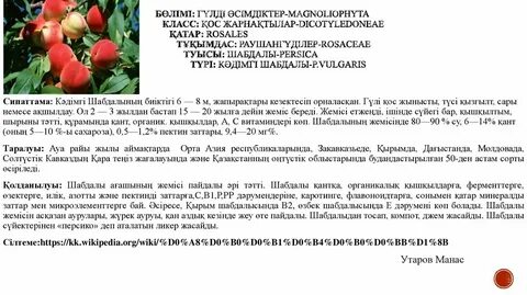 Жігіт жұлқынып, өзін сорып алады