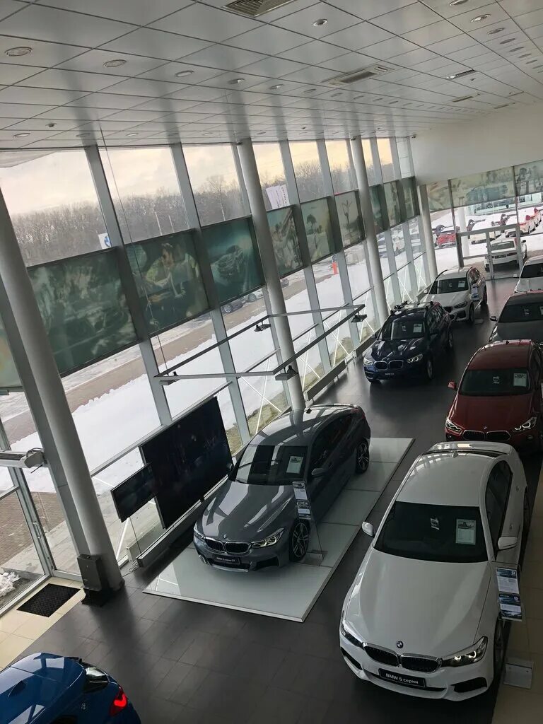 Курск энгельса 173. AUTOPREMIUM (АВТОПРЕМИУМ). АВТОПРЕМИУМ Самара автосалон. АВТОПРЕМИУМ на Энгельса Шкода.