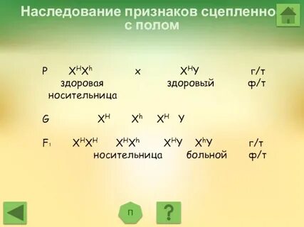 Анализирующее наследование признаков