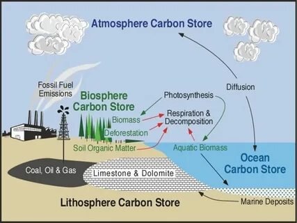 Carbon plants