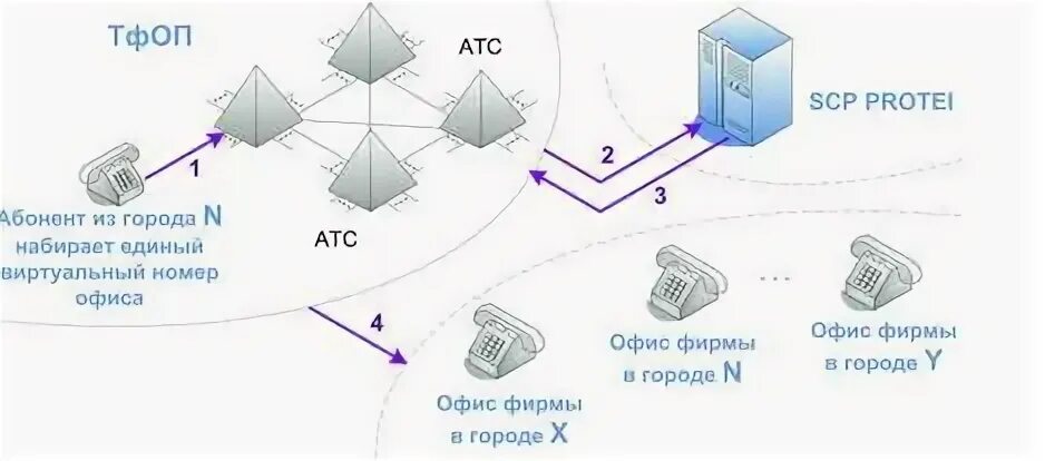 Сеть тфоп. Сеть тфоп