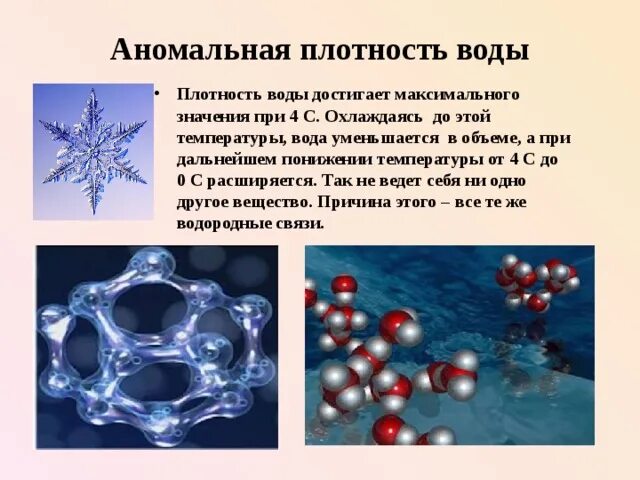 Плотность воды кратко 5 класс биология. Аномалия плотности воды. Аномальная плотность воды. Аномальные свойства воды плотность воды. Аномалия воды при 4 градусах.