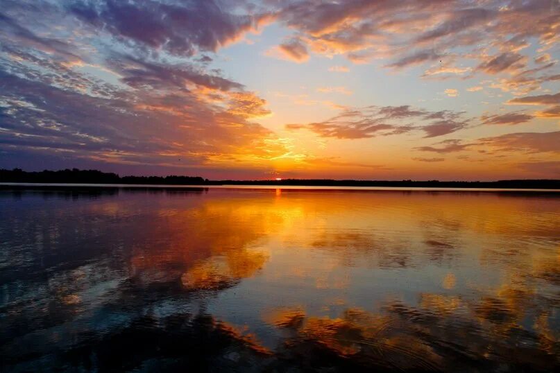 Hidden in the reeds 4k background, Sunset, Background