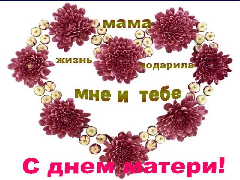 сегодня праздник наших мам