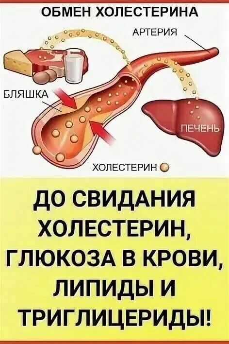 Холестерин и глюкоза. Глюкоза холестерин. сахар и холестерин в крови. глюкоза и холестерин в крови. липиды триглицериды холестерин.