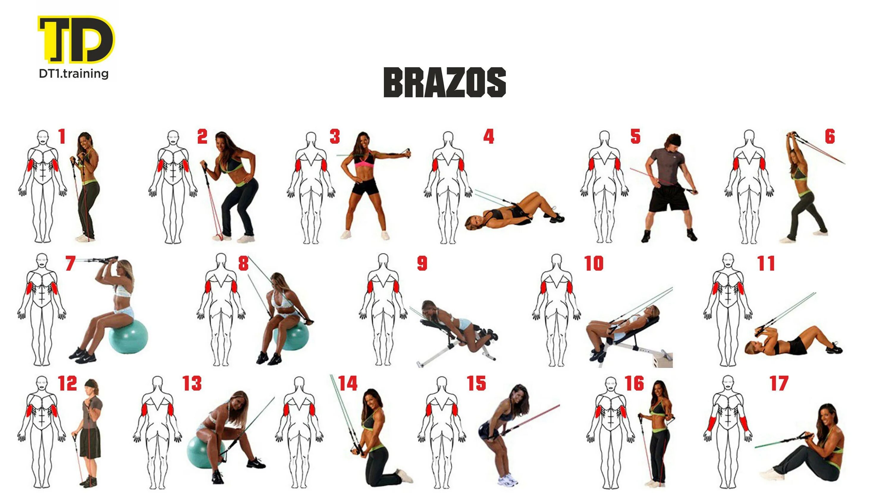 Упражнения с резиновым эспандером для женщин. Упражнения для пресса с резиновой петлей. Занятия с эспандером для мужчин. Программа тренировок с эспандером. Упражнения с пружинным эспандером труба для мужчин.