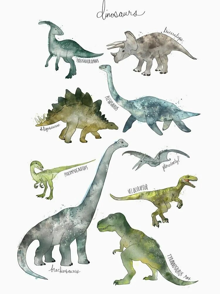 Плакат "динозавры". Древний мир динозавров. Тираннозавр poster. Плакаты динозавров на белом фоне. Динозавры художественный