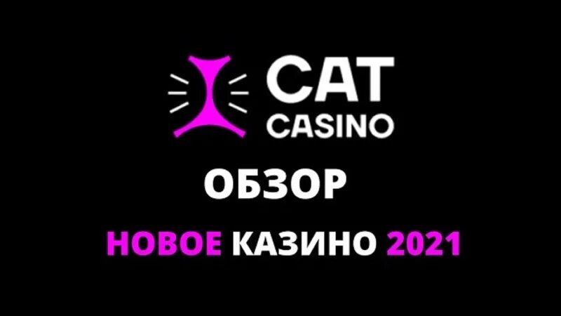 Cat казино. Кэтс казино. Бонусы Кэт казино. Cat Casino logo. Cat casino промокоды 2023 catcasx com