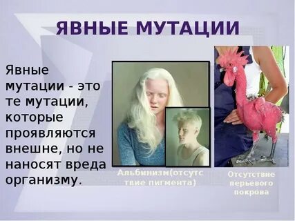 Примеры полезных мутаций