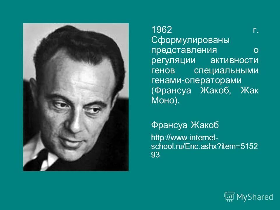 Питание при дефиците веса. Сформулированы представления. Сформулированы представления. Виды представлений. Сформулированы представления.