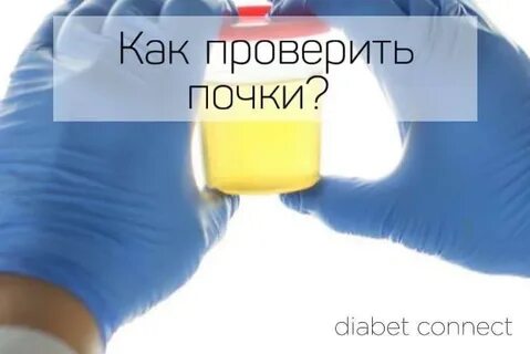 Проверка почек