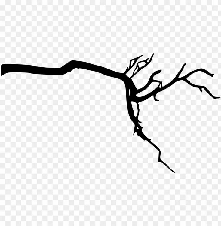 Empty branch