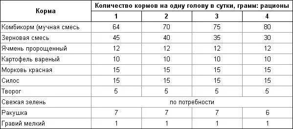 Сколько нужно дать курам. Нормы кормления кур несушек таблица. Суточные нормы кормления кур несушек. Рацион комбикорма для кур несушек. Рацион кормов для кур несушек.