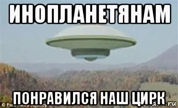 Meme circus. Meme circus. Цирк смешные мемы. Meme circus. Устроили цирк.