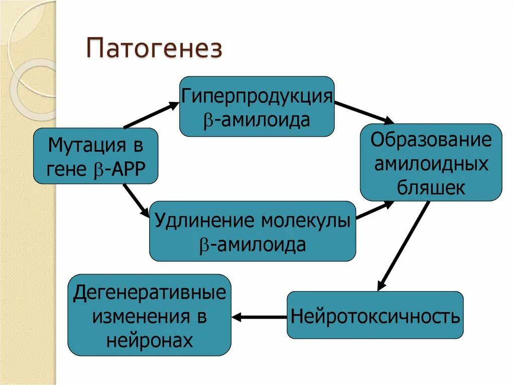 Болезнь альцгеймера амилоидные бляшки. Болезнь альцгеймера гипотезы. Болезнь альцгеймера этиология. Болезнь альцгеймера механизм развития. Синдром альцгеймера механизм развития.