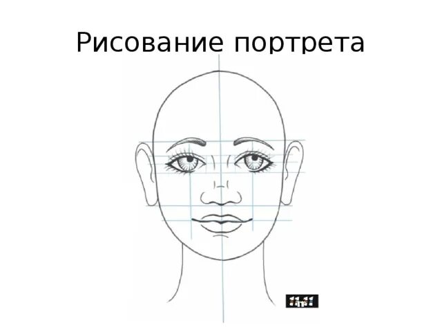 Поэтапное рисование портрета 3 класс презентация. Поэтапное рисование портрета. Поэтапное рисование портрета для детей. Портрет 6 класс изо. Графический портретный рисунок 6 класс изо.