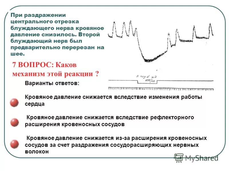 При раздражении блуждающего нерва. При возбуждении блуждающего нерва артериальное давление. Эффекты активации блуждающего нерва:.