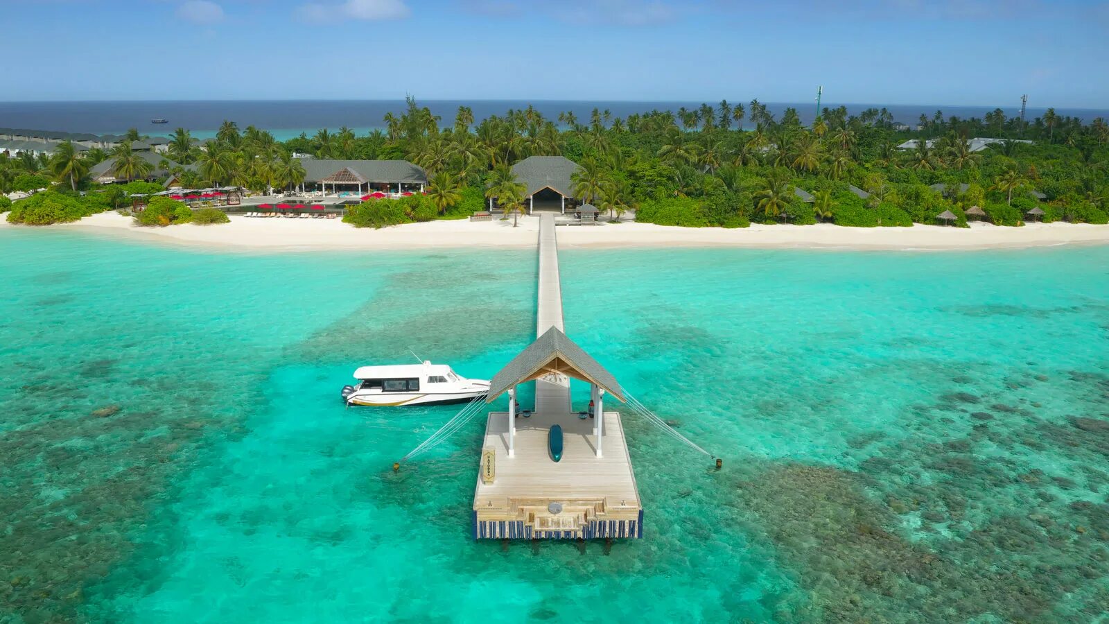 Мальдивы остров Амари. Даалу Атолл Мальдивы. Amari Havodda Maldives 5 Мальдивы. Thinadhoo Мальдивы.