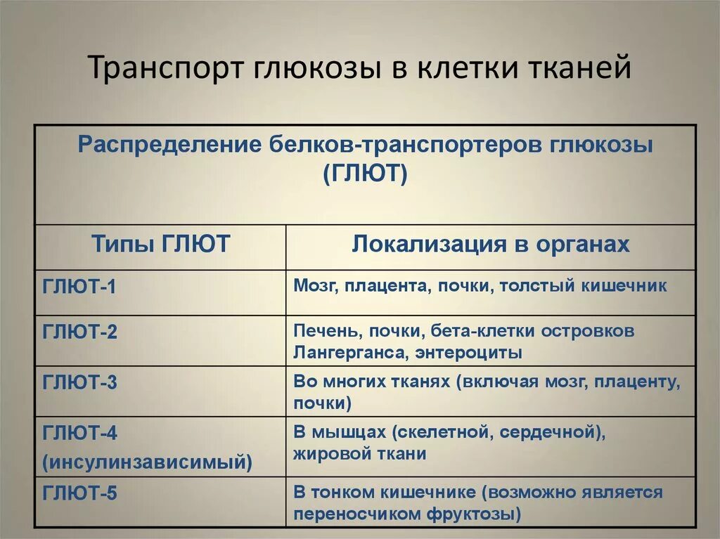 Почему в различных клетках