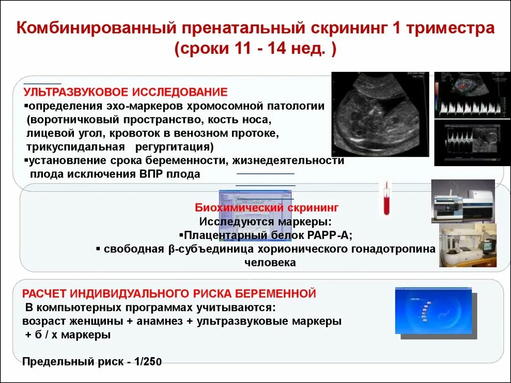 Сроки первого триместра беременности. Биохимия первого скрининга беременности. Скрининг ультразвукового исследования 1 триместр. Скрининг беременных в 1 триместре. УЗИ беременность 1 скрининг срок.