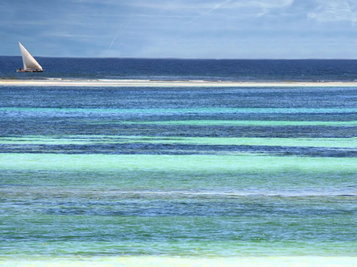 Море солнце цитаты. Морюшко крым картинки. Йога закат океан. Какого цвета бывает море. Рябь на воде гиф.