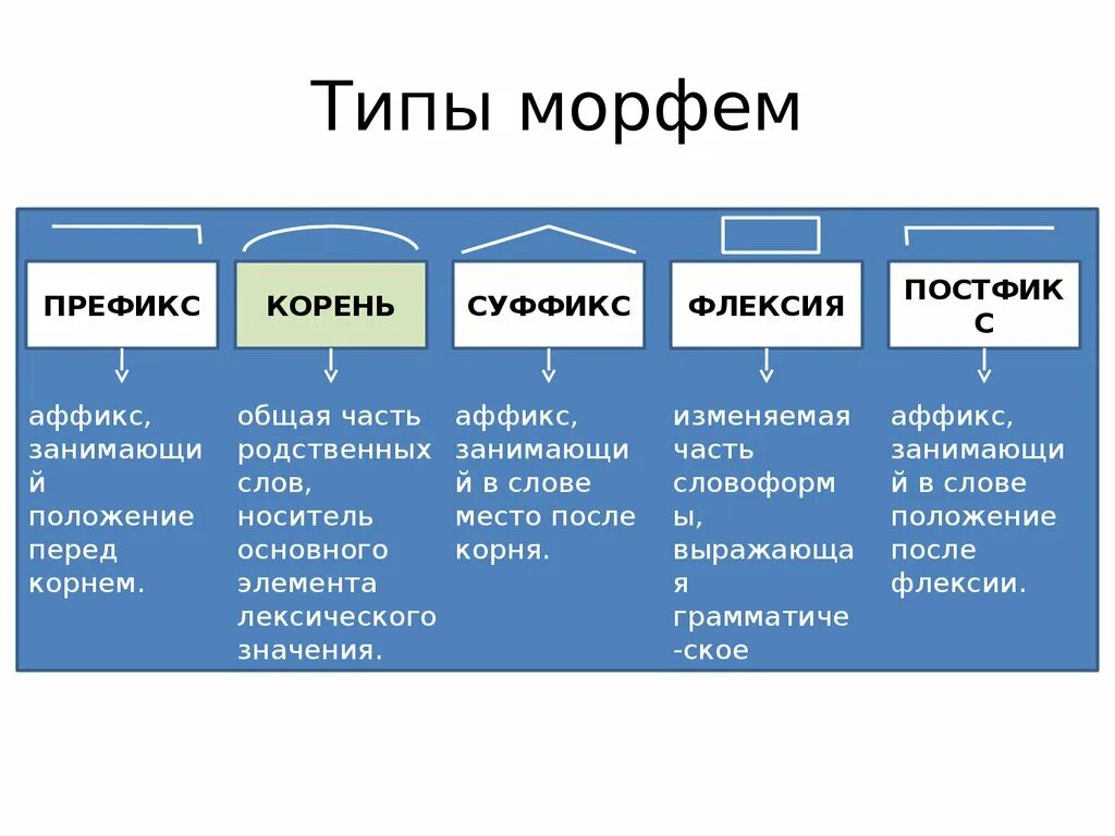 Типа состоит из двух. Виды морфем (корень, приставка, суффикс, окончание). Типы морфем. Виды морфем. Морфема виды морфем.