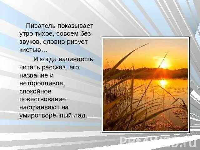 Тихое утро тест 6. Тихое утро Казаков. Рассказ тихое утро. Рисунок к произведению тихое утро.