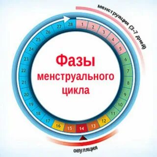 1 2 3 день месячных