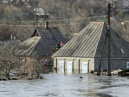Водяное донецкая