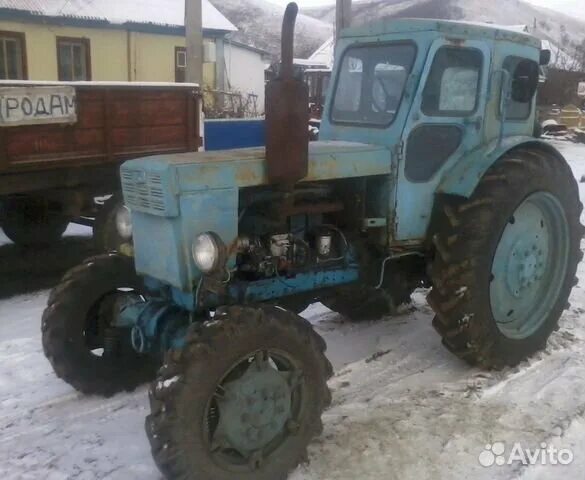 Купить т 40 на авито в россии. Т-40 (трактор). Т 40 ам. Трактор, марка т-40ам 1991. Т40 трактор НАРХЛАРИ.