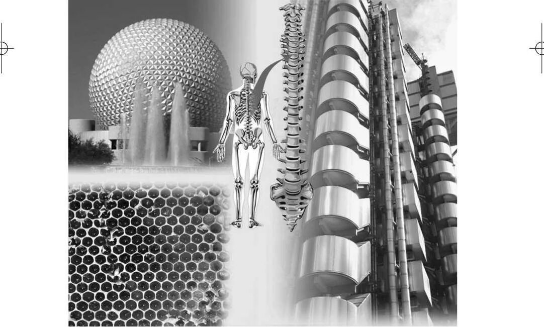 Montagen bionica espectral 2