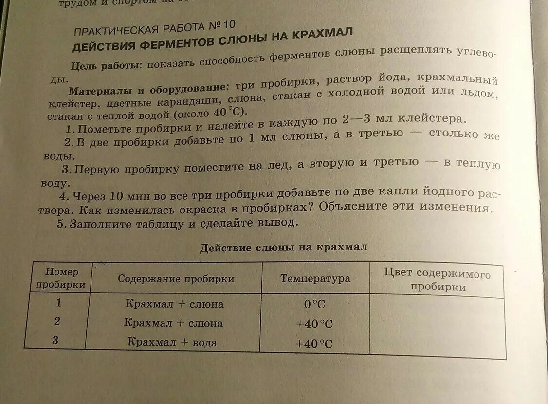 Исследование слюны на крахмал. Действие ферментов слюны на крахмал. Лабораторная работа ферменты слюны. Практическая работа воздействие слюны на крахмал. Изучение действия ферментов слюны на крахмал лабораторная работа.