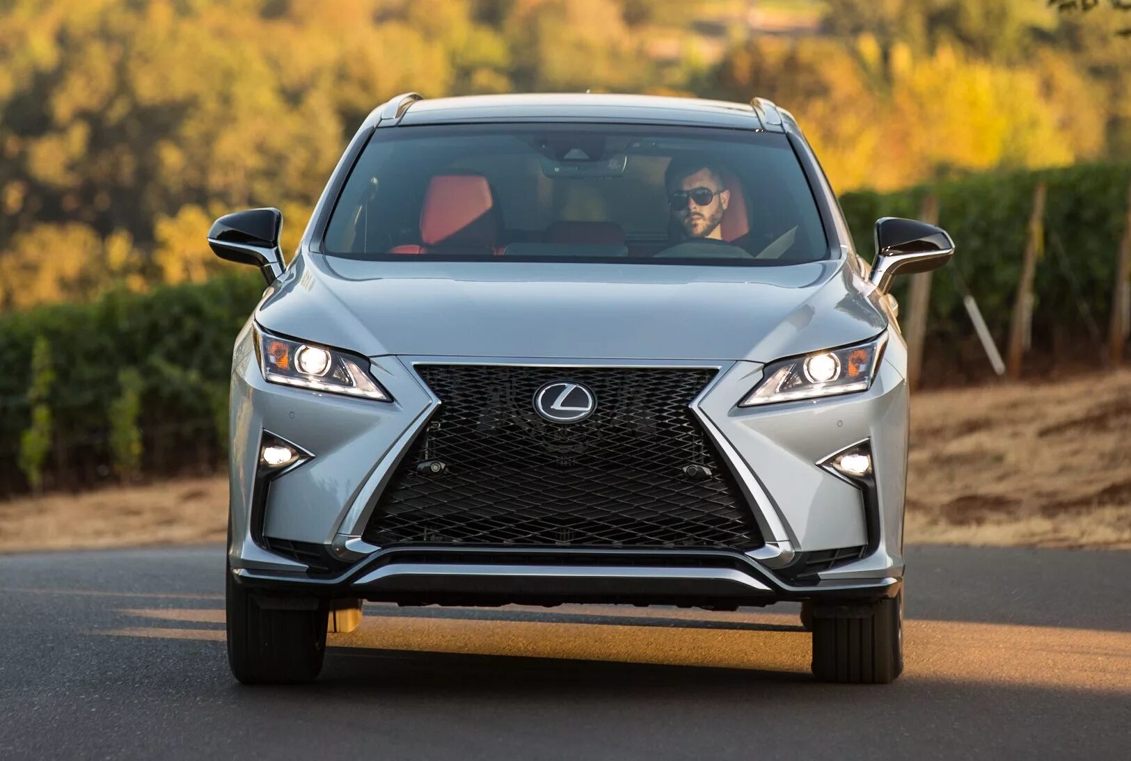 Lexus rx300 2018. Lexus RX F Sport 2018. Лексус РХ 350 2017. Лексус РХ 300 2017. Lexus rx 2017