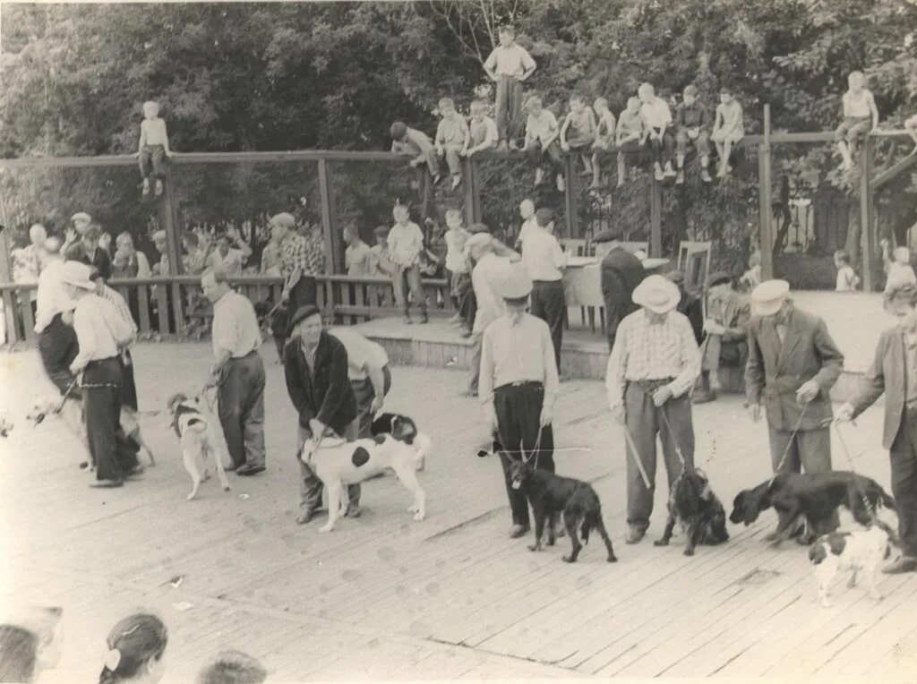 Первая выставка собак 1874. Первая выставка собак. На выставке собак. Выставка собак 1923 год.