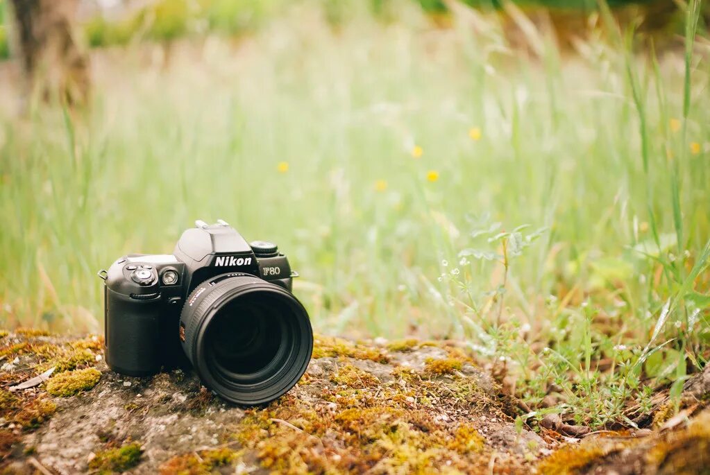 Sigma 50mm nikon. Nikon f80 + 50 1.4. Nikon 14 50mm. Nikon d200. Сигма фотографт.