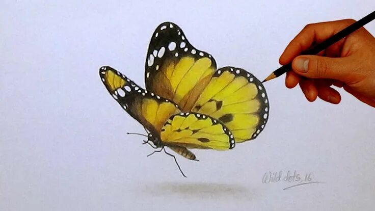 "light purple butterfly" Sticker for Sale by karestolarczyk Butterfly drawing, P