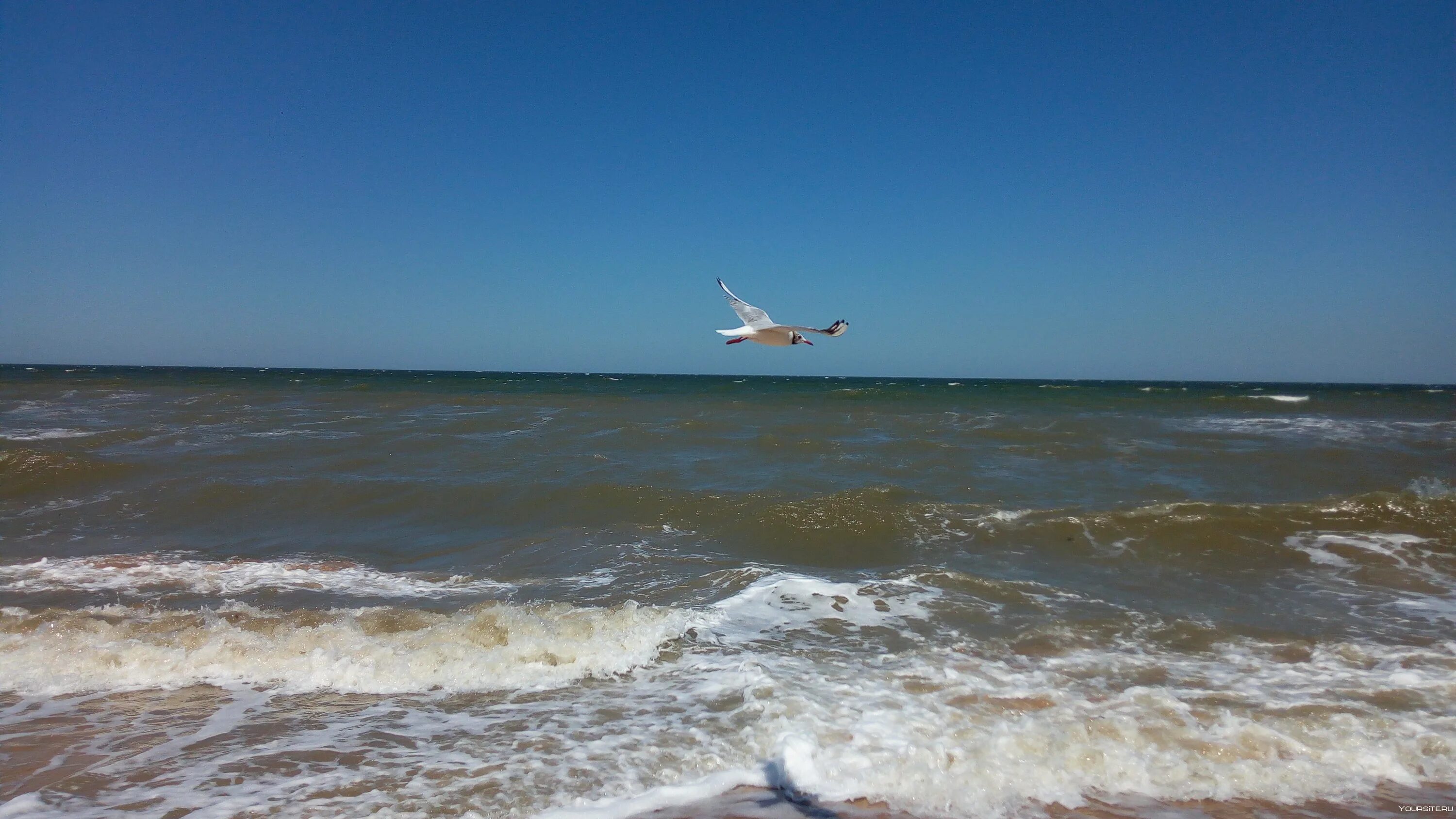 Новороссийск азовское море. Новороссийск азовское море. Приморско-ахтарск. Новороссийск азовское море. Новороссийск азовское море.