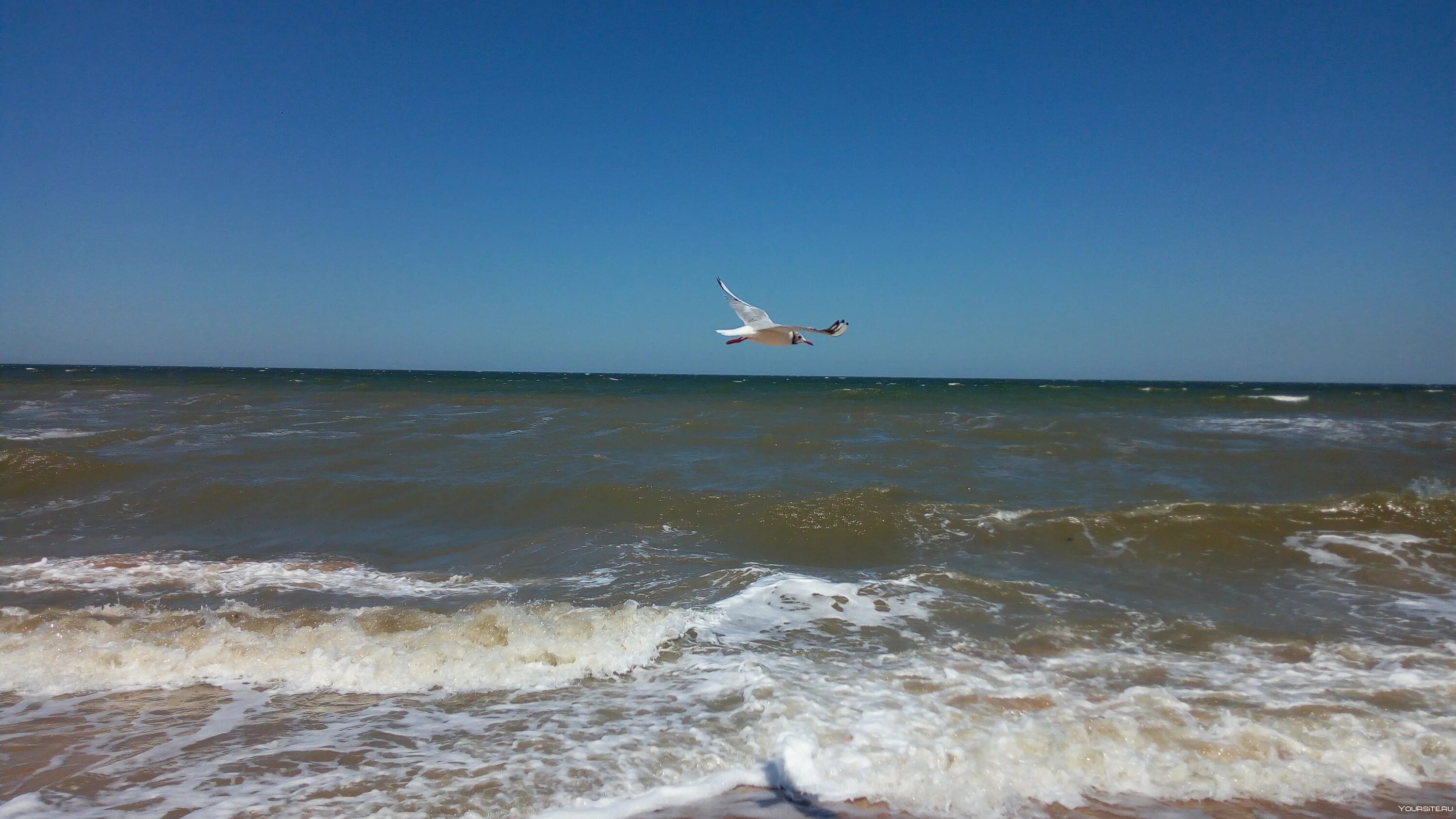 Азовское море Ейск. Голубицкая Азовское море. Голубичное Азовское море. Море Азовское Азовское море Анапа. Температура воды моря ейск