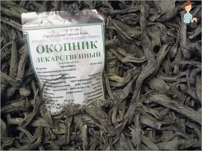Корень окопника в аптеке