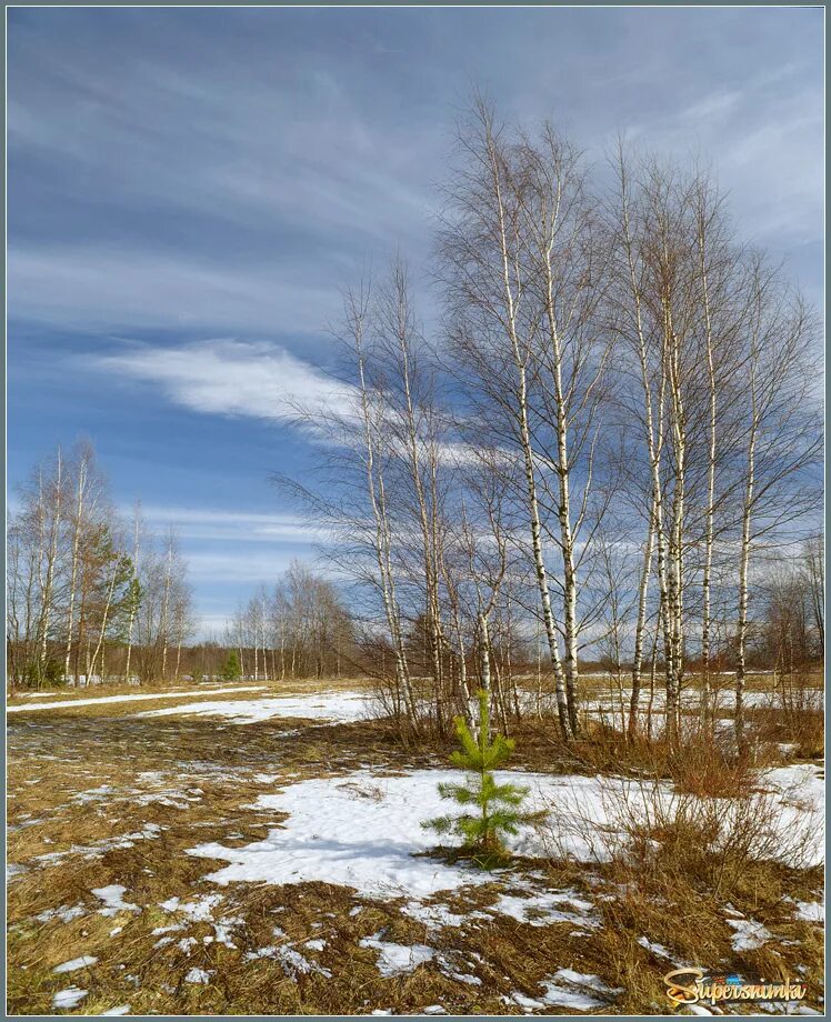 Апрель природа. Апрель природа. Тихого апрельского вечера. Весенний пейзаж. Апрельская.