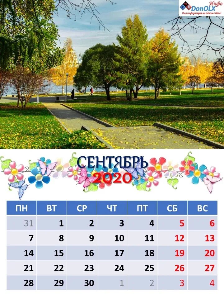 Календарь сентября показать. Календарь сентябрь. Сентябрь 2020 года календарь. Сентябрь 2020 календарь. Календарь сентябрь 2020 красивый.