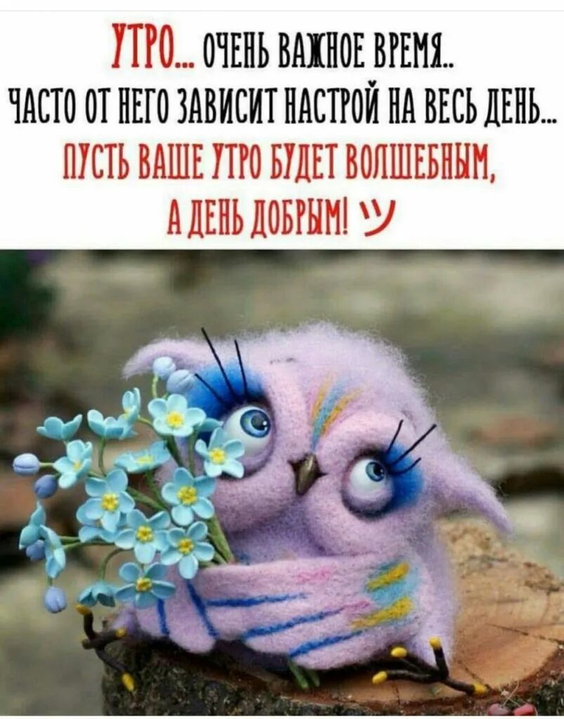 Доброго утра позитивные картинки со смыслом. Доброе утро прикол. Утренние пожелания позитивные. Позитивные открытки. Поздравления с добрым утром со смыслом.